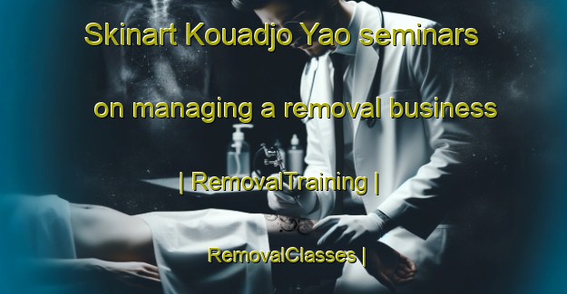 Skinart Kouadjo Yao seminars on managing a removal business | RemovalTraining | RemovalClasses | SkinartTraining-Côte d Ivoire